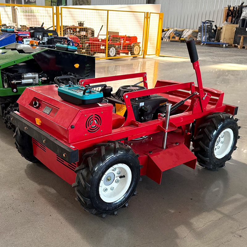 Customized Lawn mower/adjustab – Reel Handle recenzja i cena